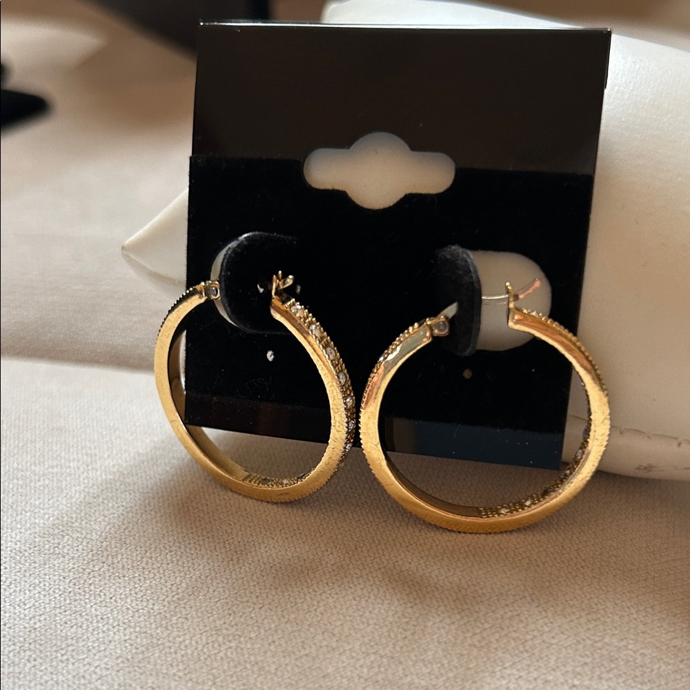 Elegant Gold Hoop Earrings